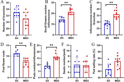 Analysis on morphological characteristics and identification of candidate genes during the flowering development of alfalfa